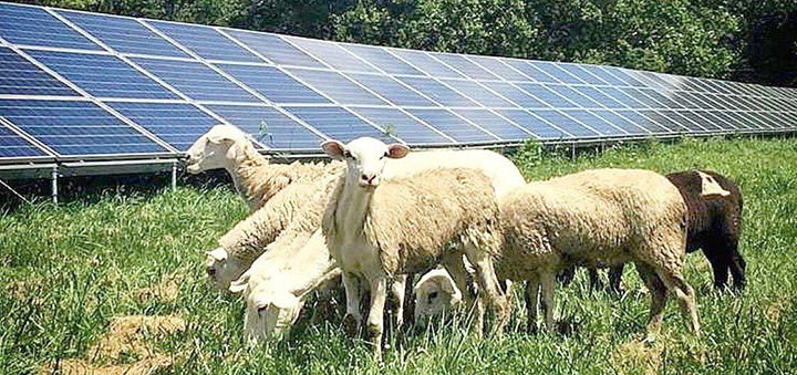 Community solar farms bring concerns to local farmers